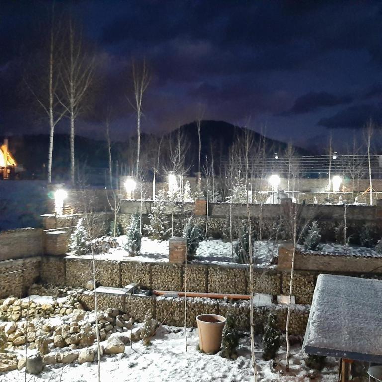 Casa Cu Mesteceni Rîşnov المظهر الخارجي الصورة