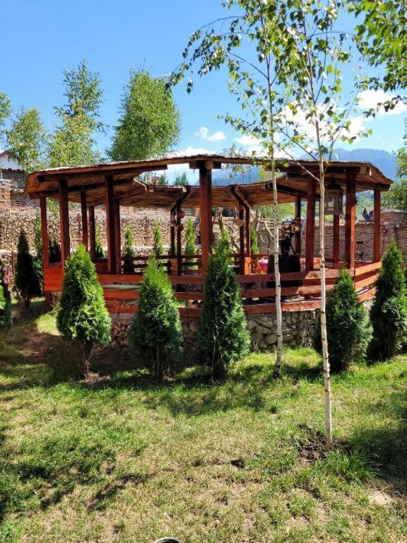 Casa Cu Mesteceni Rîşnov المظهر الخارجي الصورة