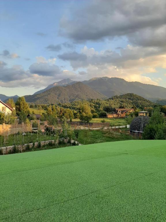 Casa Cu Mesteceni Rîşnov المظهر الخارجي الصورة