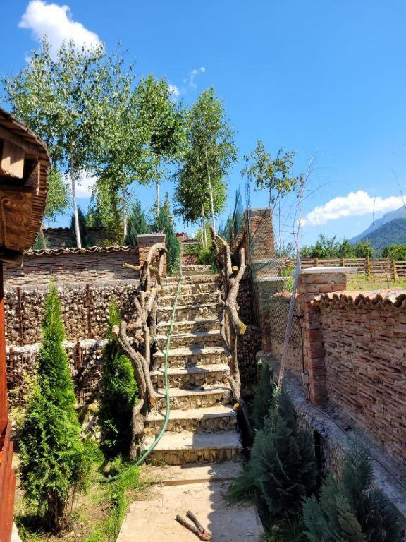Casa Cu Mesteceni Rîşnov المظهر الخارجي الصورة